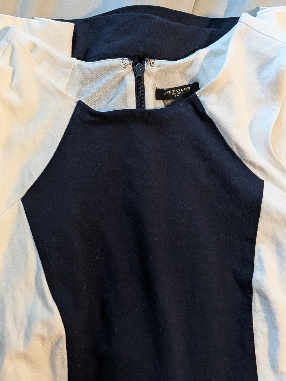 Ann Taylor Colorblock Dress in Navy and Cream